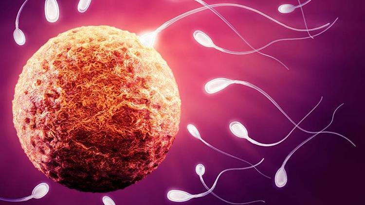 Erkeğin Yaşı ve Gebelik Üzerindeki Etkileri