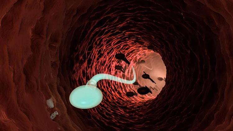 40 Yaş Üstü Erkeklerde Çocuk Sahibi Olmanın Etkileri