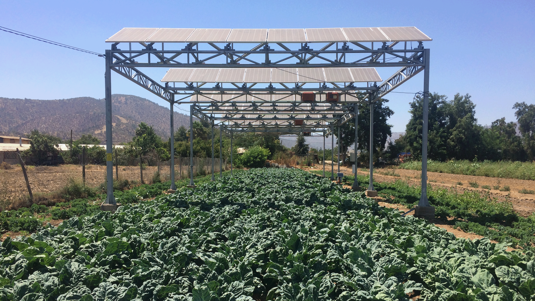 Agrivoltaik Sistemler: Tarım ve Enerji Üretiminde Yenilikçi Çözümler