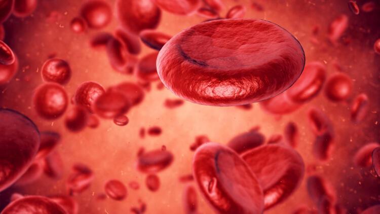 Hangi Tür Anemiyle Karşı Karşıyasınız?