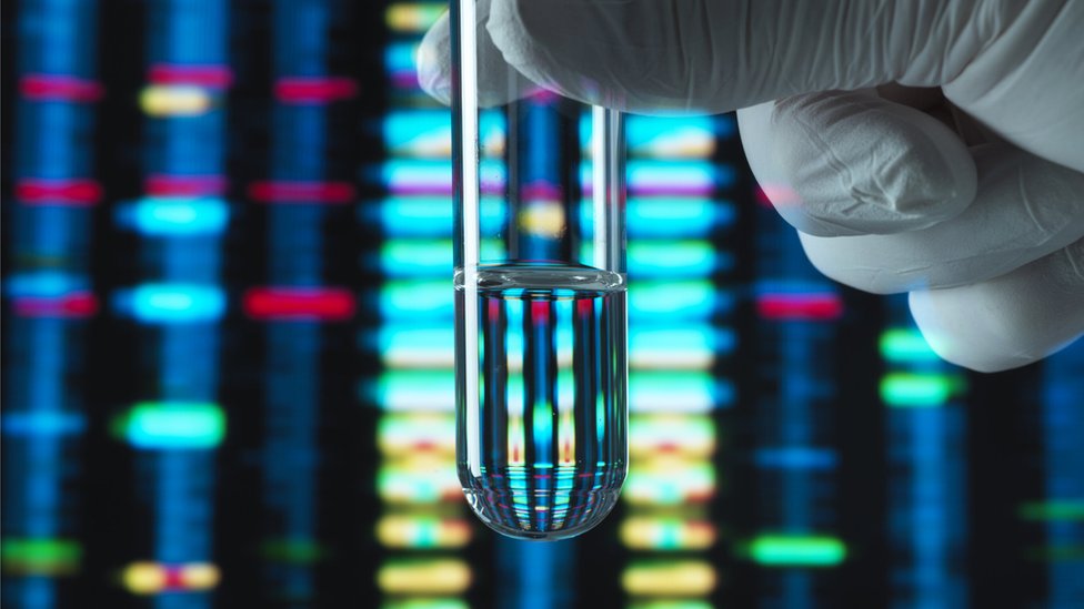 Aşkın Bilimsel Temelleri: DNA Eşleştirmesi Üzerine Bir İnceleme
