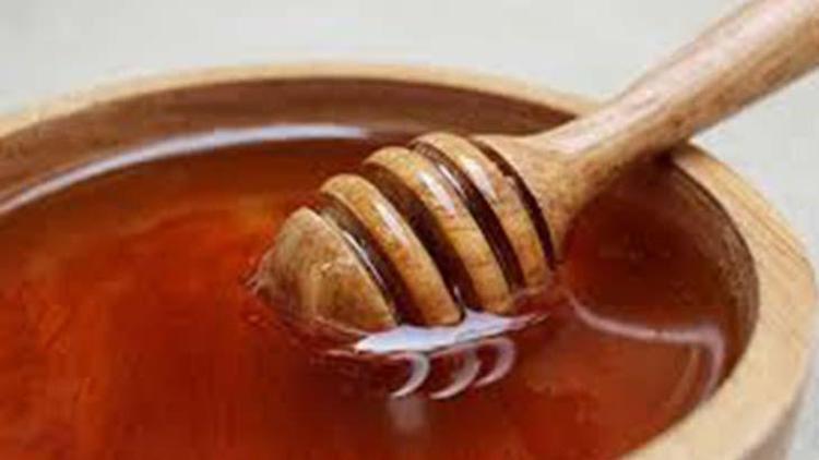 Bağışıklık Sistemini Güçlendiren Doğru Beslenme ve Ham Balın Önemi
