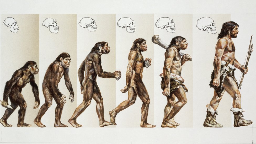 Darwin'in Evrim Teorisi ve Hayatı