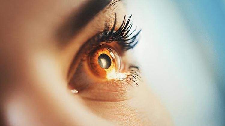 Diyabetik Retinopati: Belirtileri, Risk Faktörleri ve Önleme Yöntemleri