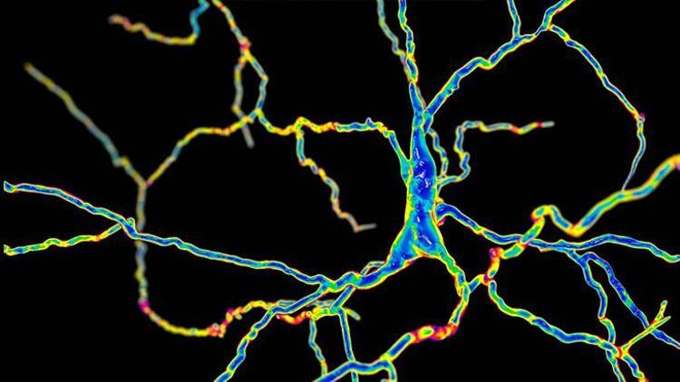 Dopaminin Önemi, Epigenetik Etkileri ve Bağımlılık Üzerindeki Rolü