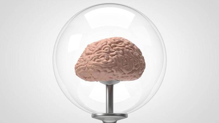 Dopaminin Önemi, Epigenetik Etkileri ve Bağımlılık Üzerindeki Rolü