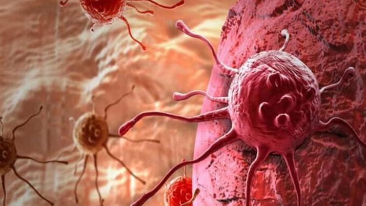 Endoskopi ve Kolonoskopi: Ağrı Yanılgıları ve Uygulama Süreçleri