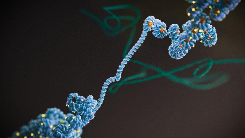 PHOSPHO BİOMEDİKAL ANİMASYON