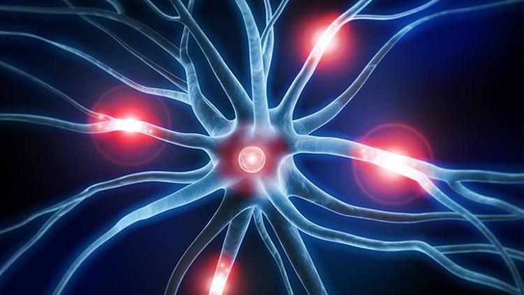 Epilepsi Tedavi Yöntemleri