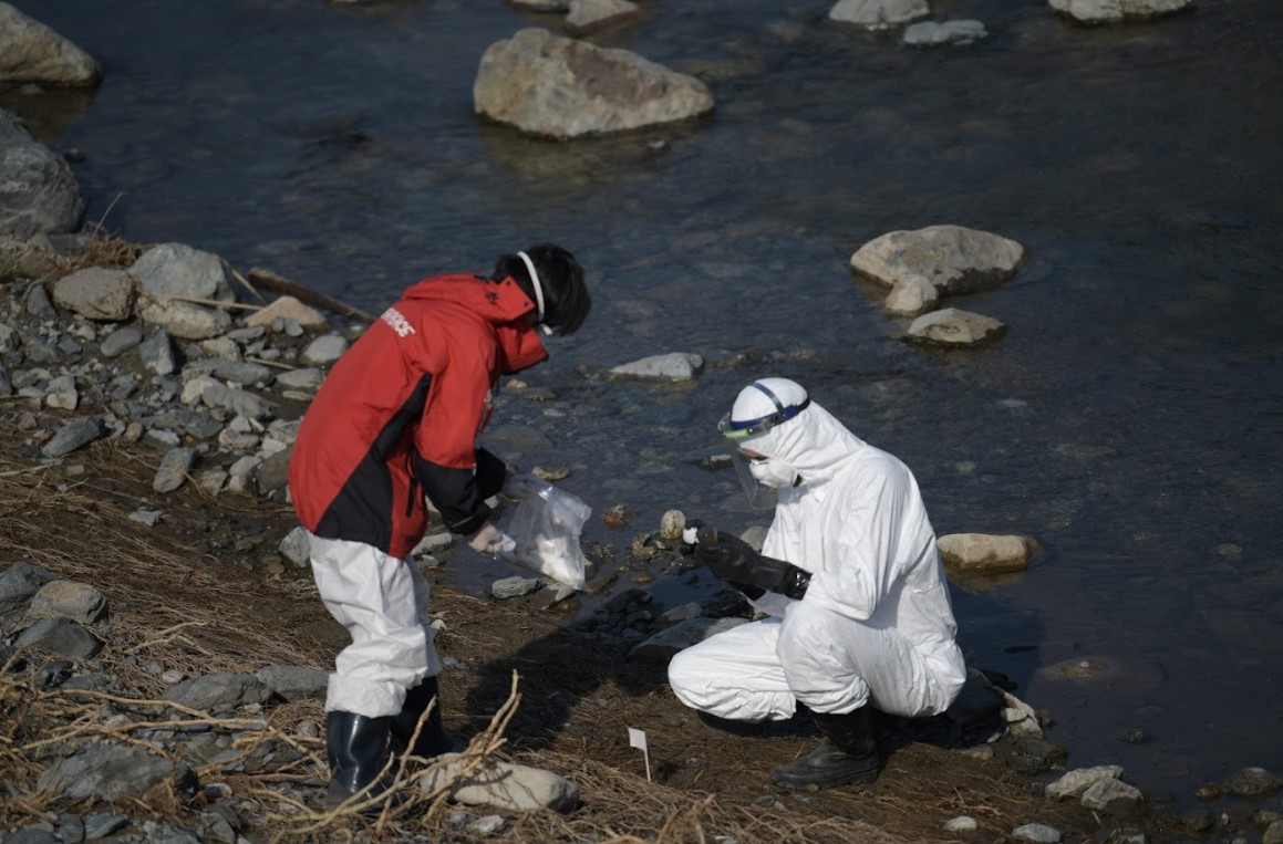 Fukushima'daki Radyasyon Seviyeleri Üzerine Endişe Verici Araştırma Sonuçları