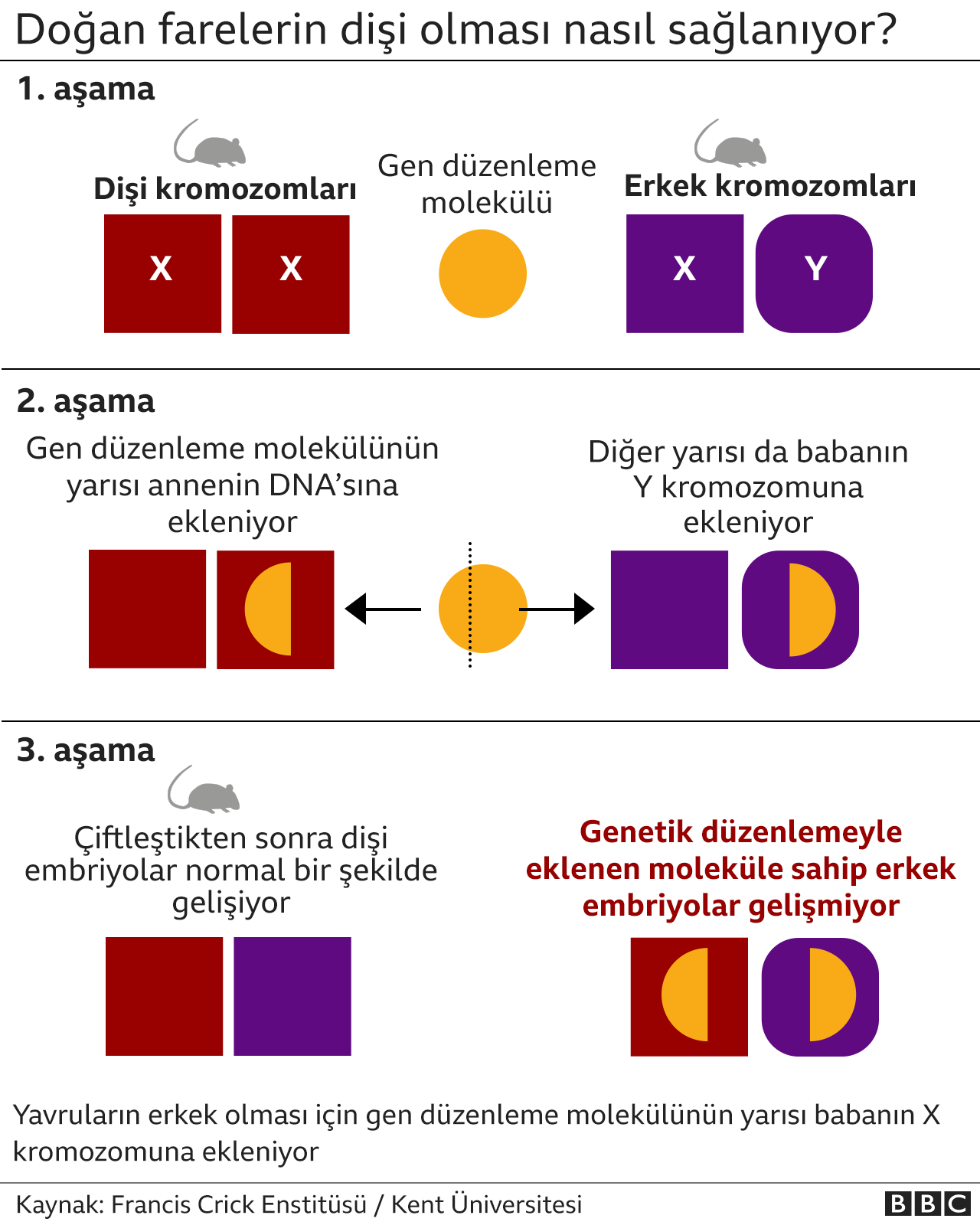 Nasıl İşliyor?