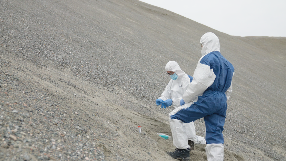 DNA Elde Etme Süreci