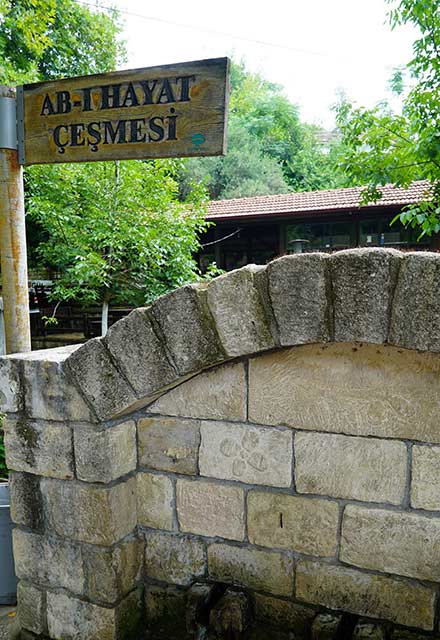 Hatay Mutfağını Keşfedin: Tarih, Kültür ve Lezzetler