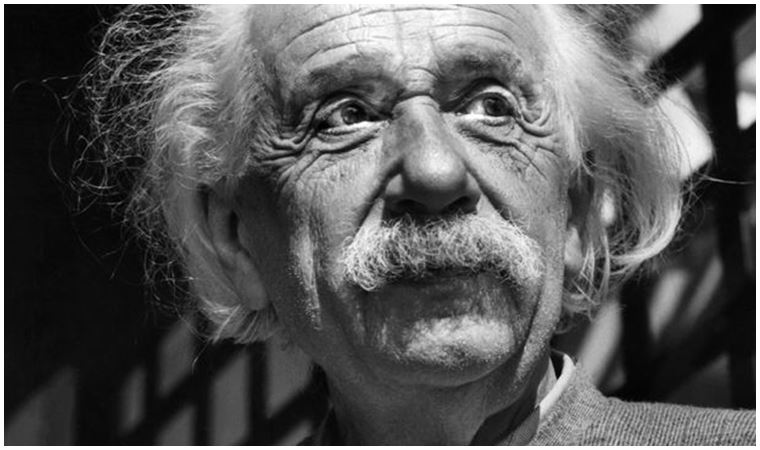 Hayvanların Yön Bulma Yetenekleri ve Einstein'ın İlginç Mektubu