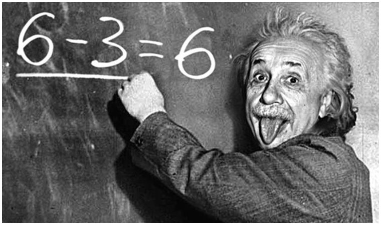 Hayvanların Yön Bulma Yetenekleri ve Einstein'ın Mektubu
