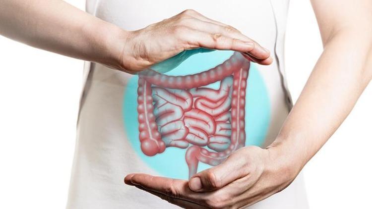Hemoroidal Hastalıklar: Belirtileri, Tedavi Yöntemleri ve Cerrahi Müdahale