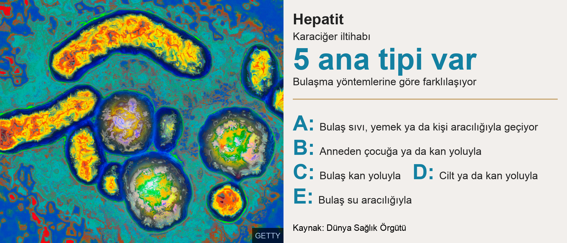 Hepatit Belirtileri