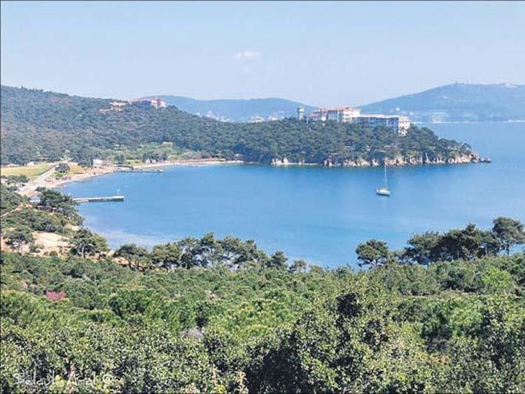 Heybeliada: Tarih ve Sakinlik İçinde Bir Kaçış Noktası