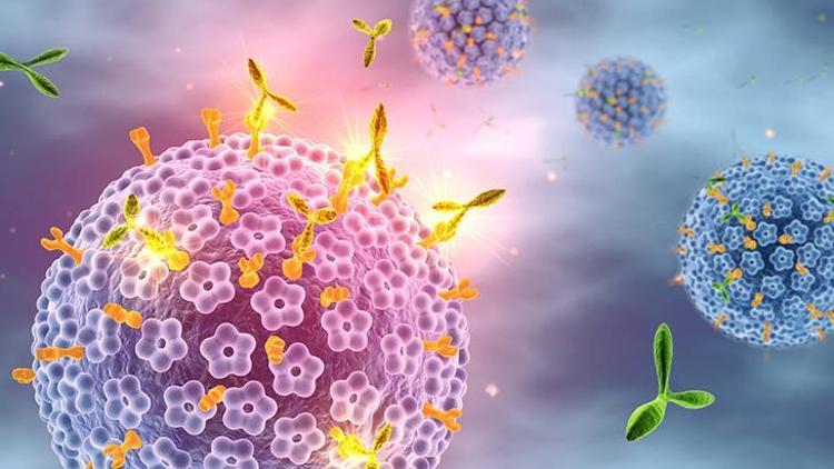 HPV Aşısı ve Etkileri