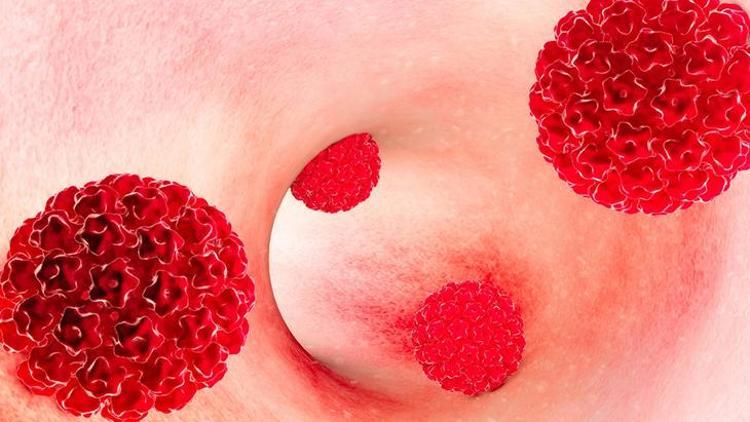 HPV Hakkında Bilgiler ve Aşılar