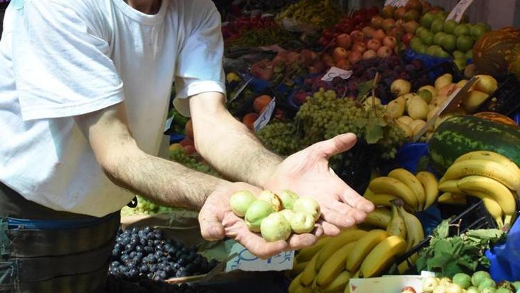 Hünnap: Sağlık Faydaları ve Pazar İlgi Alanı