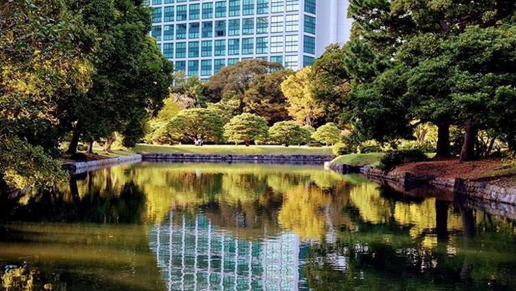 Japonya'nın Temizliği ve Koi Balıkları
