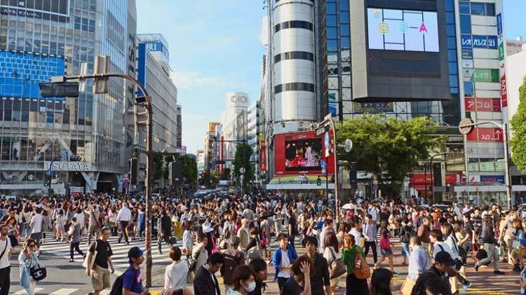 Japon Kültürü: Temizlikten Evlilik Tekliflerine ve Geleneklere