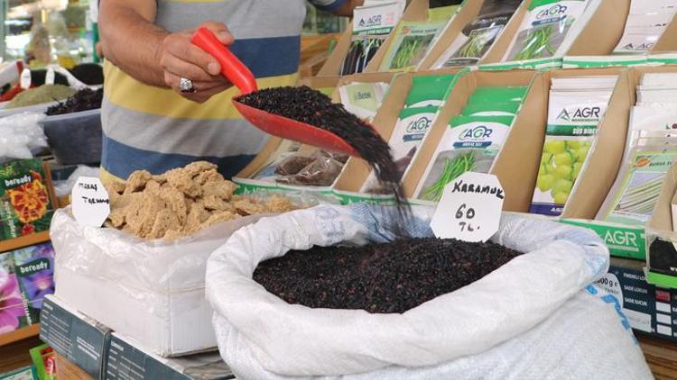 Karamuk: Doğanın Şifalı Meyvesi ve Faydaları