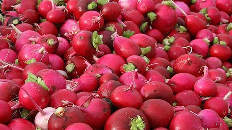 Kış Aylarında Yetişen Besleyici Sebzeler