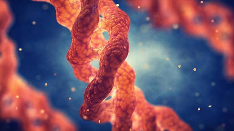Kolajen Nedir? Fonksiyonları ve Doğal Kaynakları