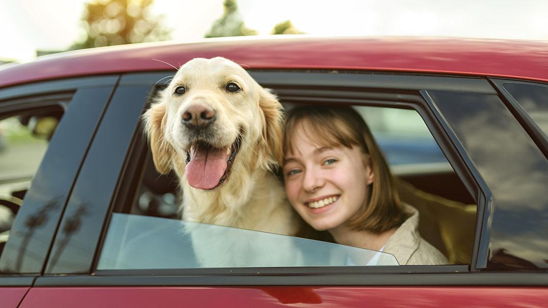 Köpeklerin Gözyaşları: Sahipleriyle Duygusal Bağın Belirtisi
