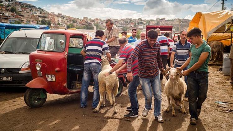 Kurban Seçiminde Dikkat Edilmesi Gerekenler