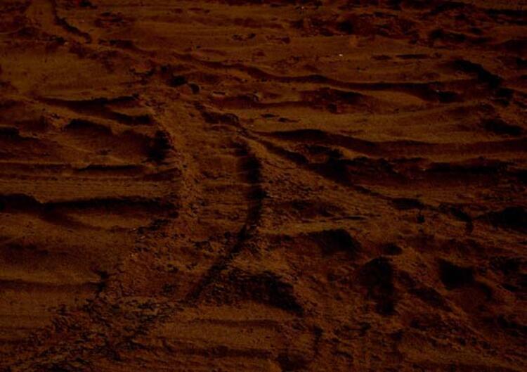 Mars Araştırmaları: Buzlu Kum Tepeleri, Tienvın-1 ve Gizemli Şekiller
