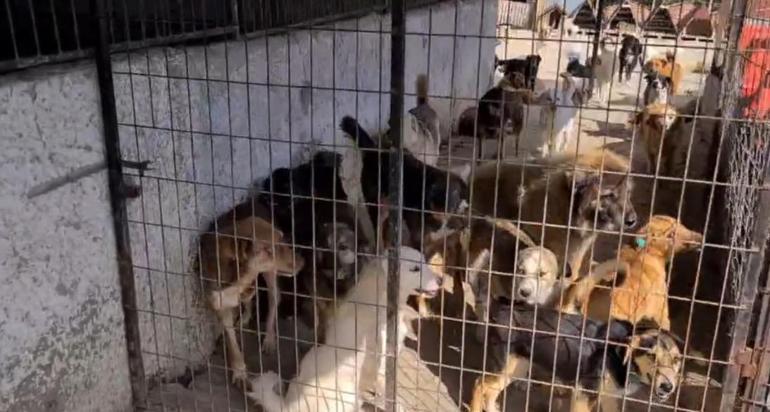 Faaliyetlerinizi Yürütmek İçin Nasıl Kaynak Yaratıyorsunuz?