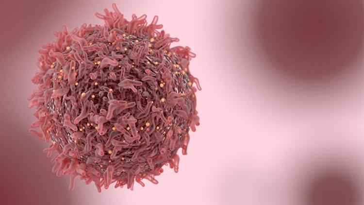 3- Mamografi çektirmenin zararı var mıdır? Kanser riskini artırır mı?