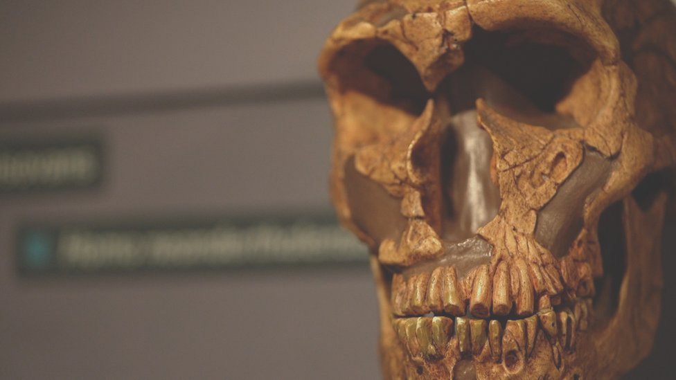 Neandertaller ve Modern İnsan: Yeni Bulgular Işığında Tarih Yeniden Yazılıyor
