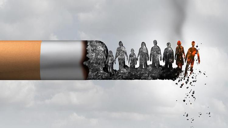 Doğal Bir Çözüm: Partenolid