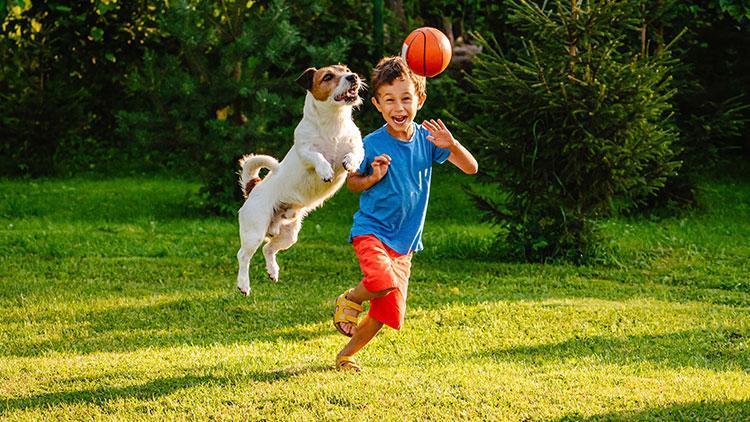 Pandemi Sürecinde Aile İlişkileri ve Çocuk Eğitimi