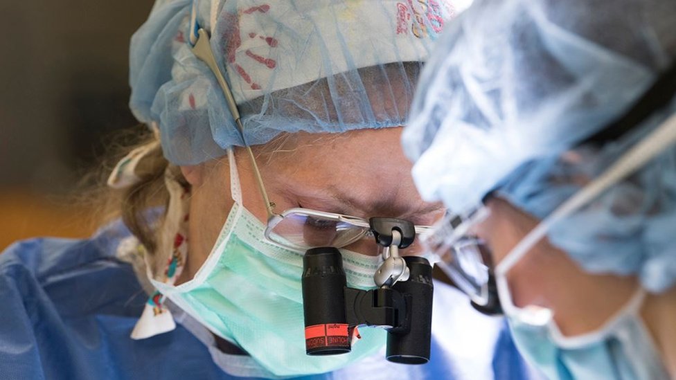 Pernkopf'un Anatomik Atlası: Ahlaki İkilemler ve Karanlık Geçmiş
