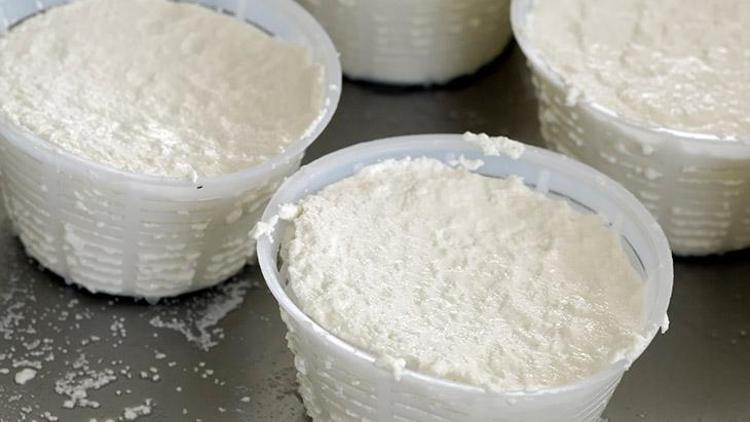 Ricotta ve Süzme Peynir: İki Farklı Peynir Türü