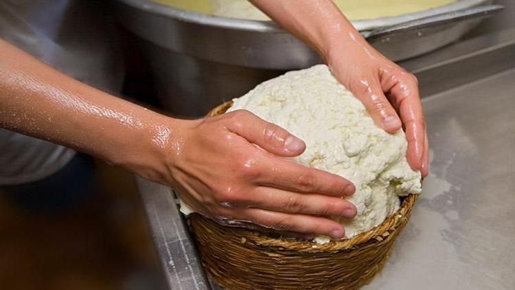 Ricotta ve Süzme Peynir: Farklar ve Kullanım Alanları