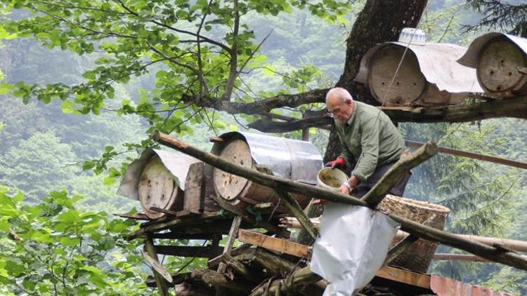 Rize'de Karakovan Bal Yetiştiriciliği ve Geleneksel Üretim Süreci