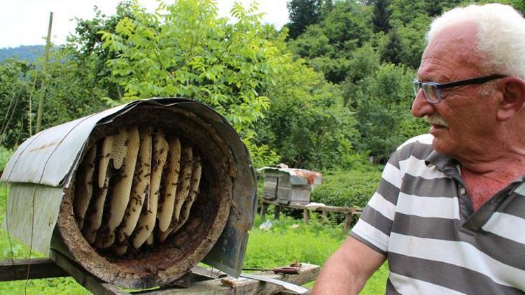 Rize'de Karakovan Bal Yetiştiriciliği ve Geleneksel Üretim Süreci