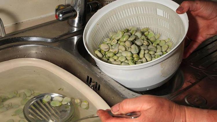 Salata Kurutucu: Kullanım Alanları ve Faydaları
