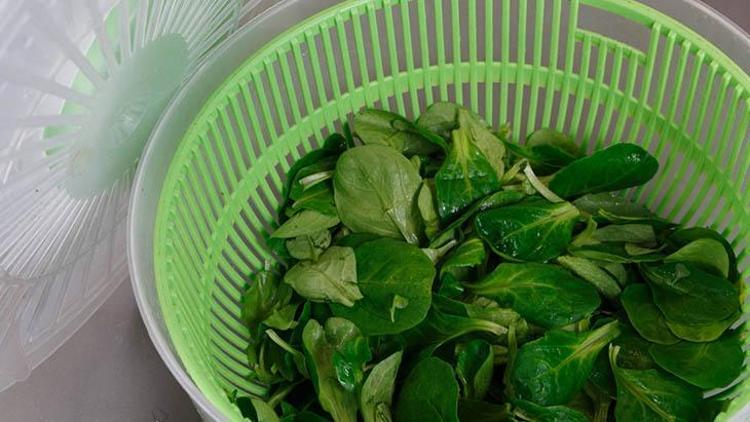 Salata Kurutucu Nasıl Kullanılır?