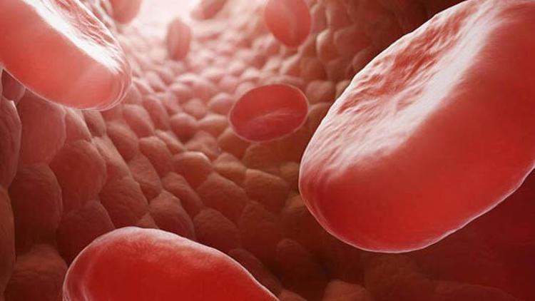 Sarımsağın Sağlığa Faydaları: Bağışıklık Sisteminden Kilo Kontrolüne