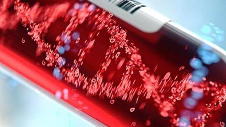 Sarımsağın Sağlığa Faydaları: Bağışıklık Sisteminden Kilo Kontrolüne