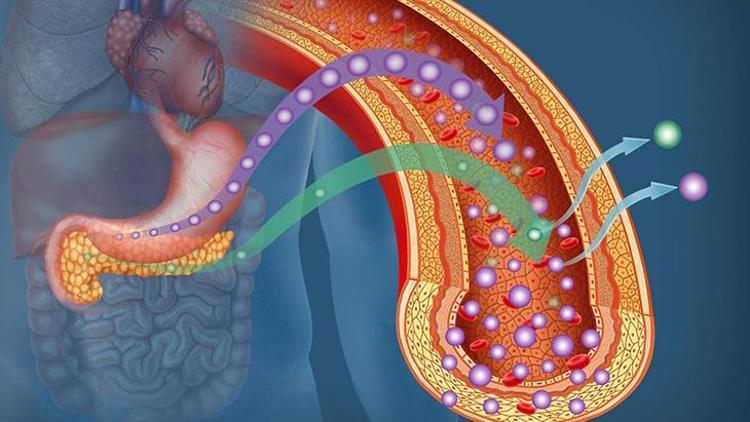 İnsülin Direncinin Sağlık Üzerindeki Etkileri
