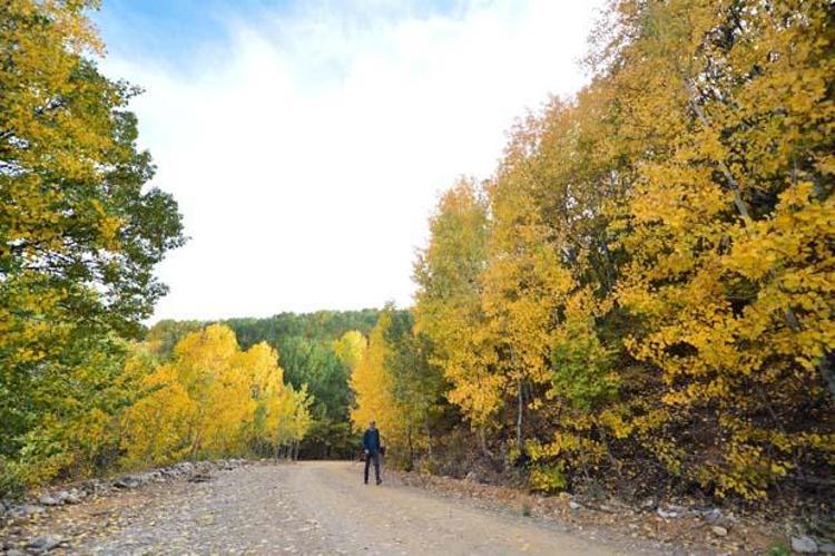 Tunceli: Tarih, Doğal Güzellikler ve Gezi Rehberi