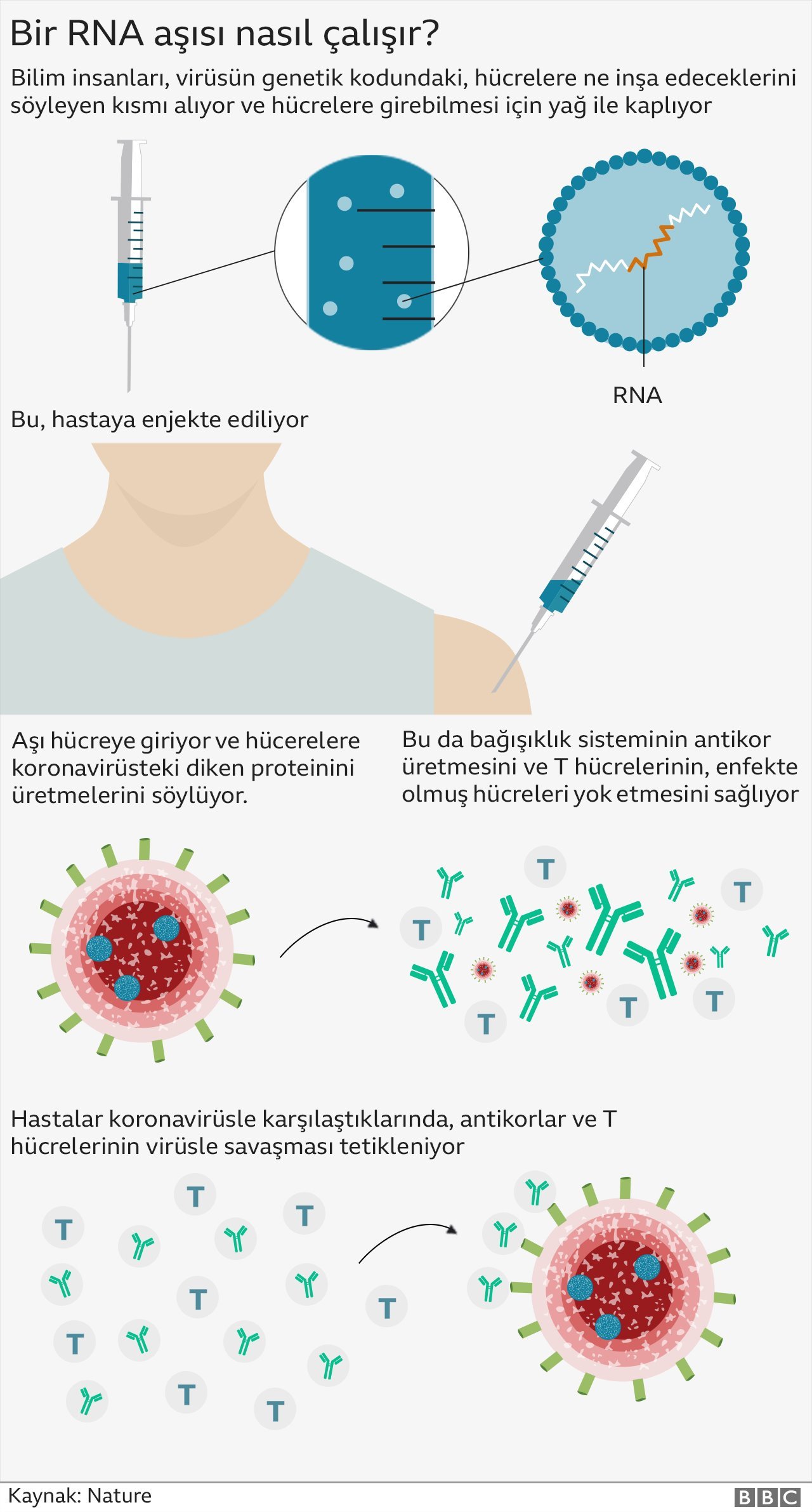 Aşı Karşıtlarının Artan Etkisi